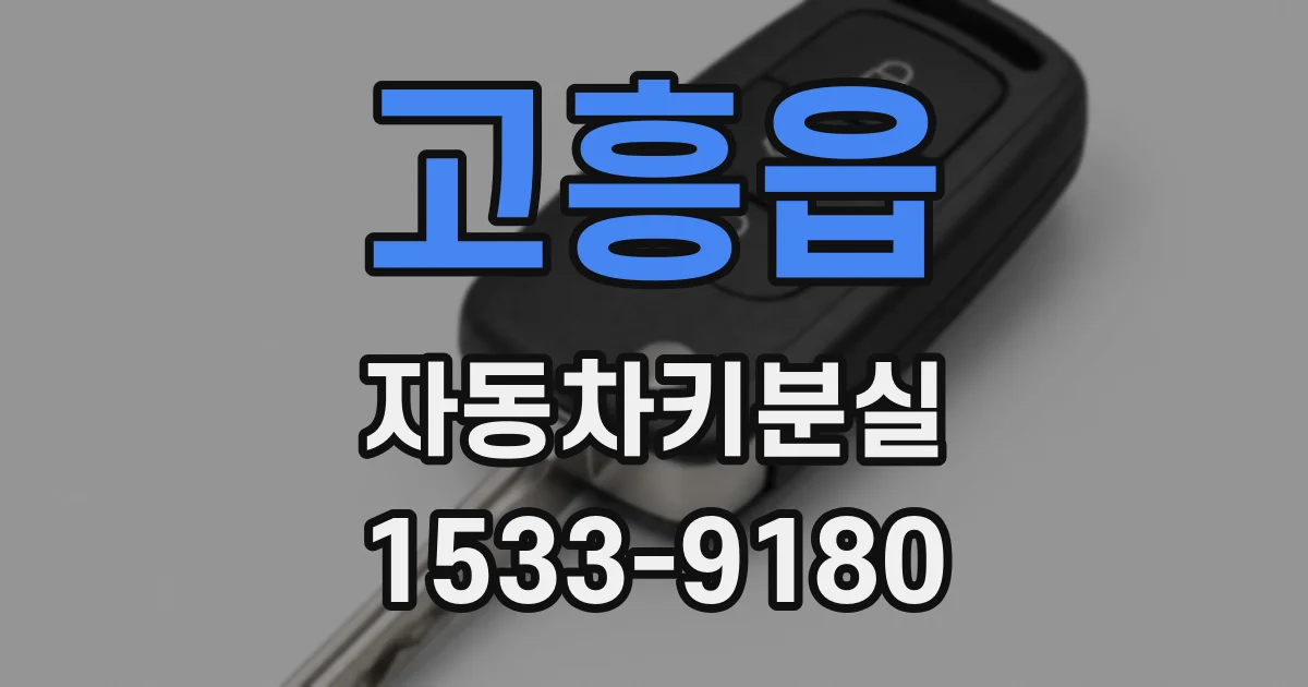고흥읍 자동차키분실