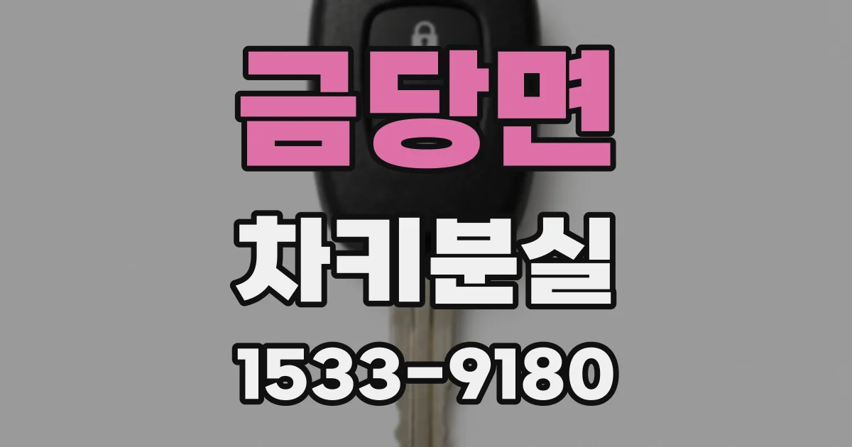 금당면 차키분실