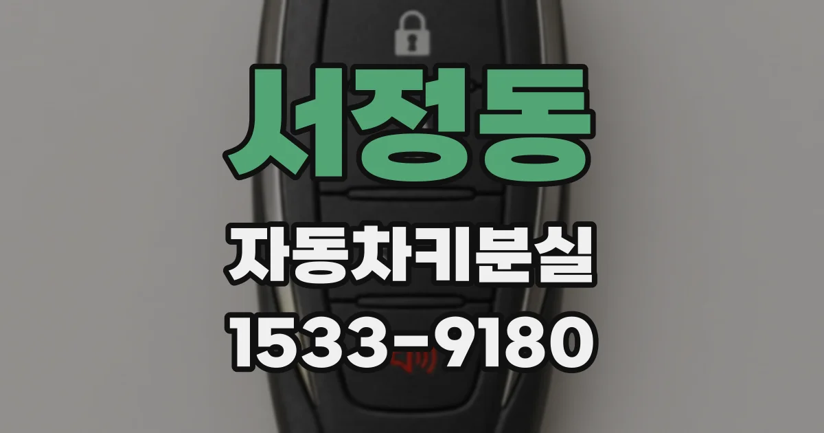 서정동 자동차키분실