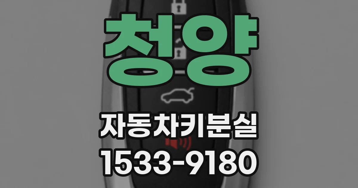 청양 자동차키분실