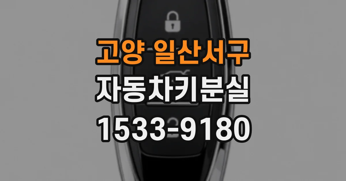 고양 일산서구 자동차키분실