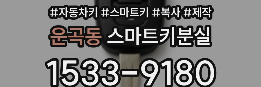 운곡동 스마트키분실
