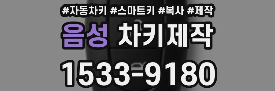 음성 차키제작