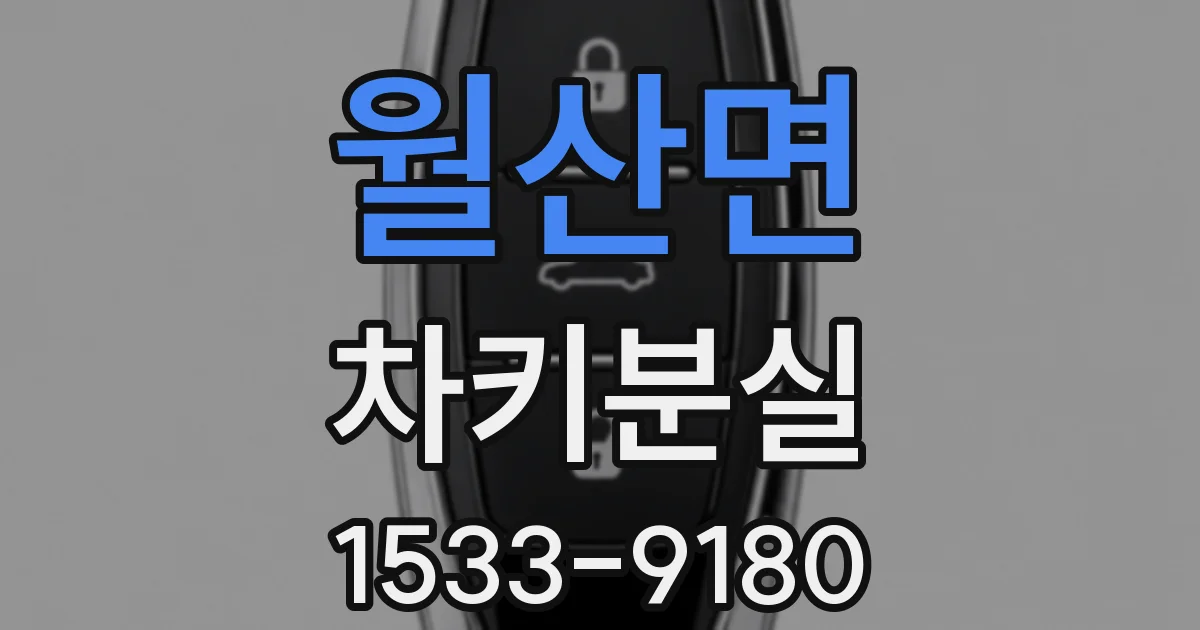 월산면 차키분실