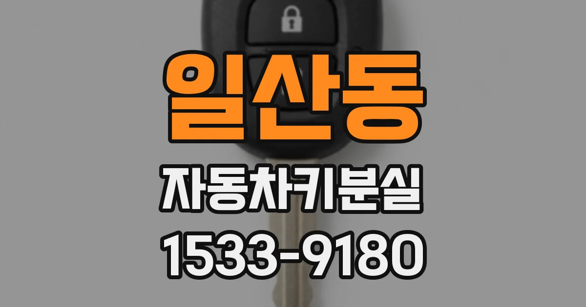 일산동 자동차키분실