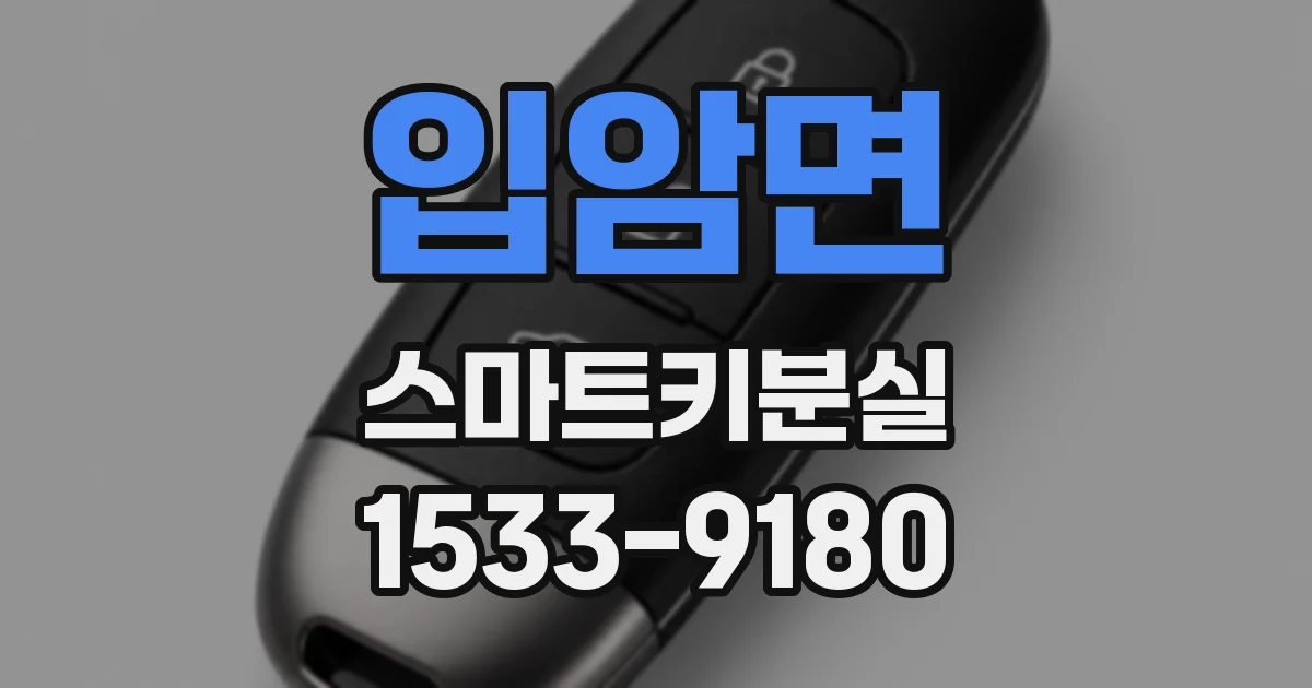 입암면 스마트키분실