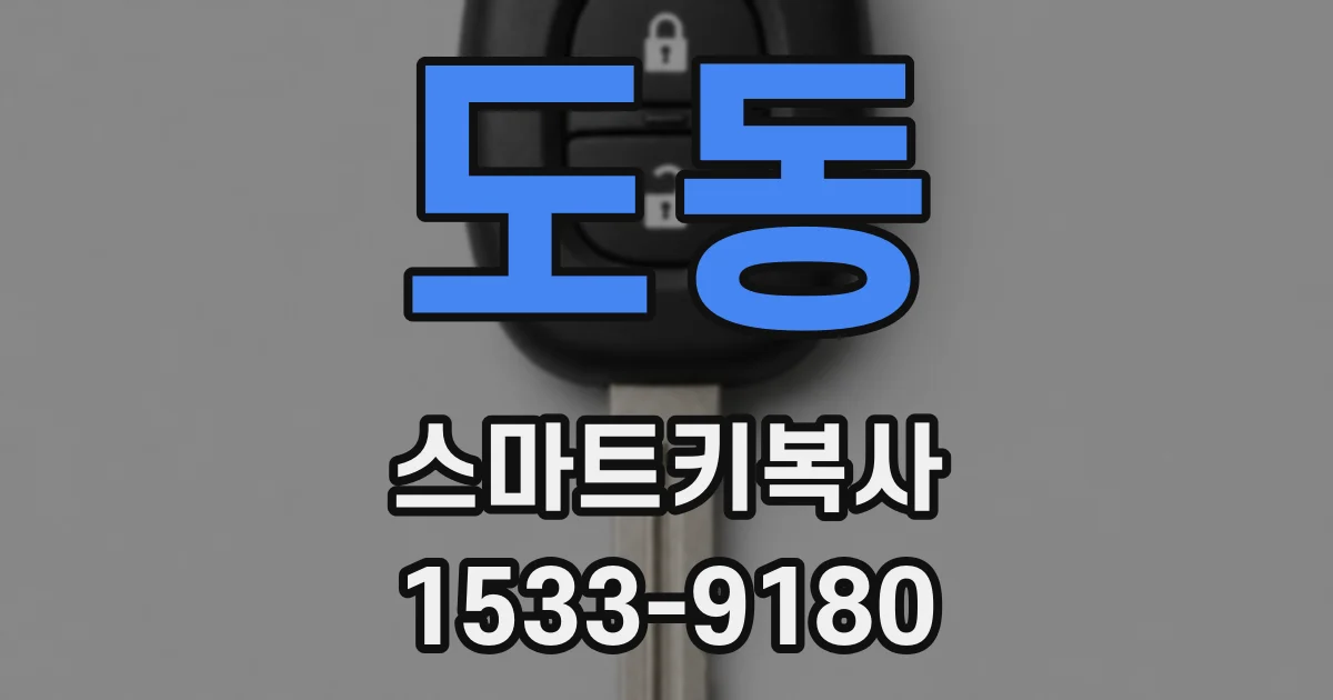 도동 스마트키복사