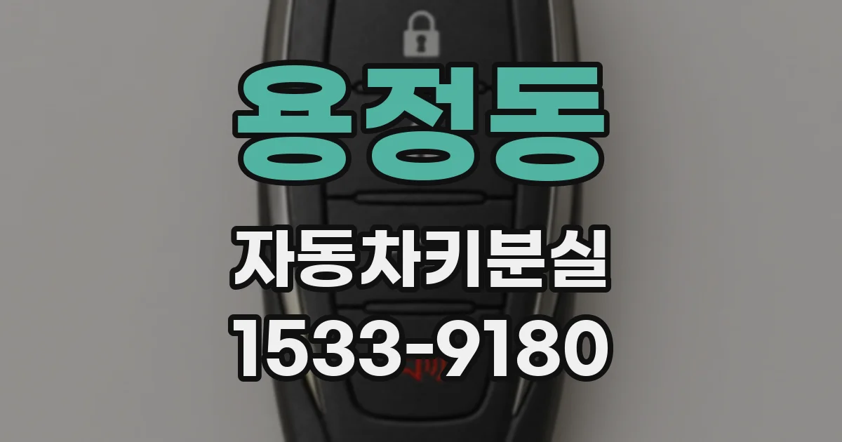용정동 자동차키분실
