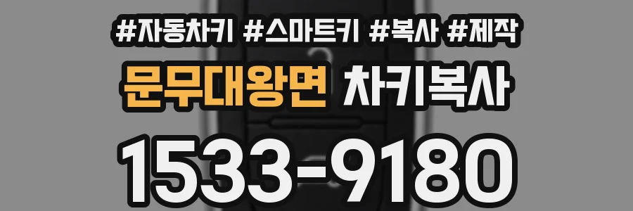 문무대왕면 차키복사