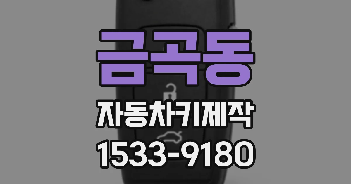 금곡동 자동차키제작