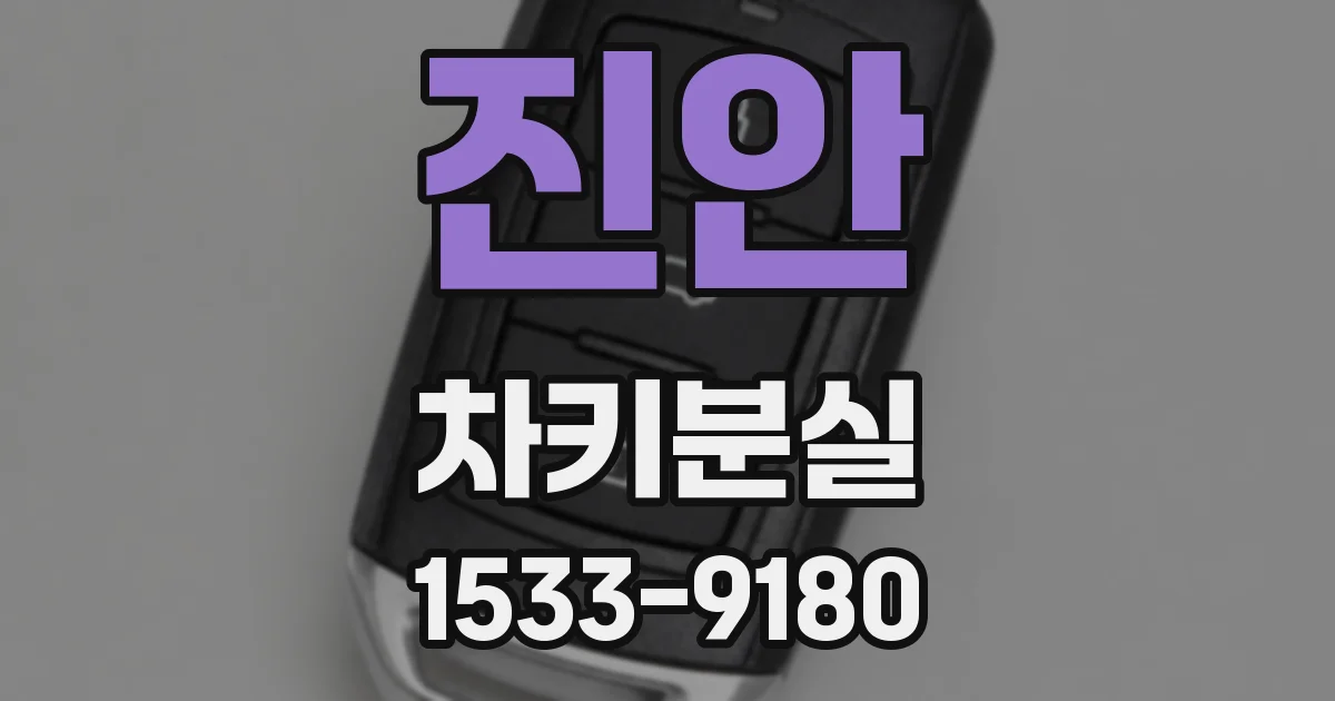 진안 차키분실