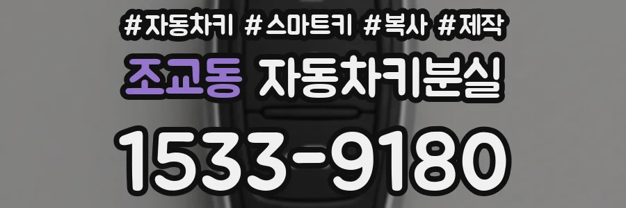 조교동 자동차키분실