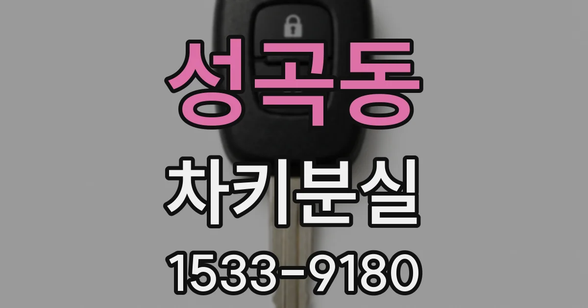 성곡동 차키분실
