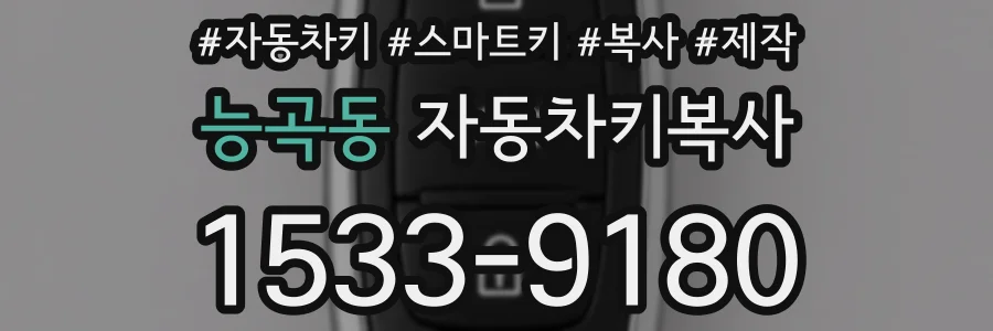 능곡동 자동차키복사