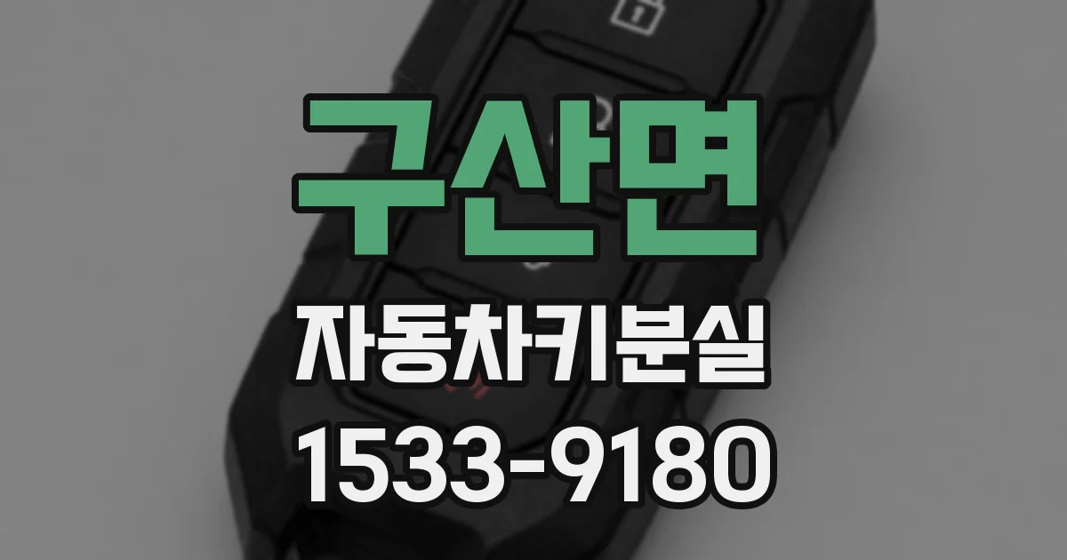 구산면 자동차키분실