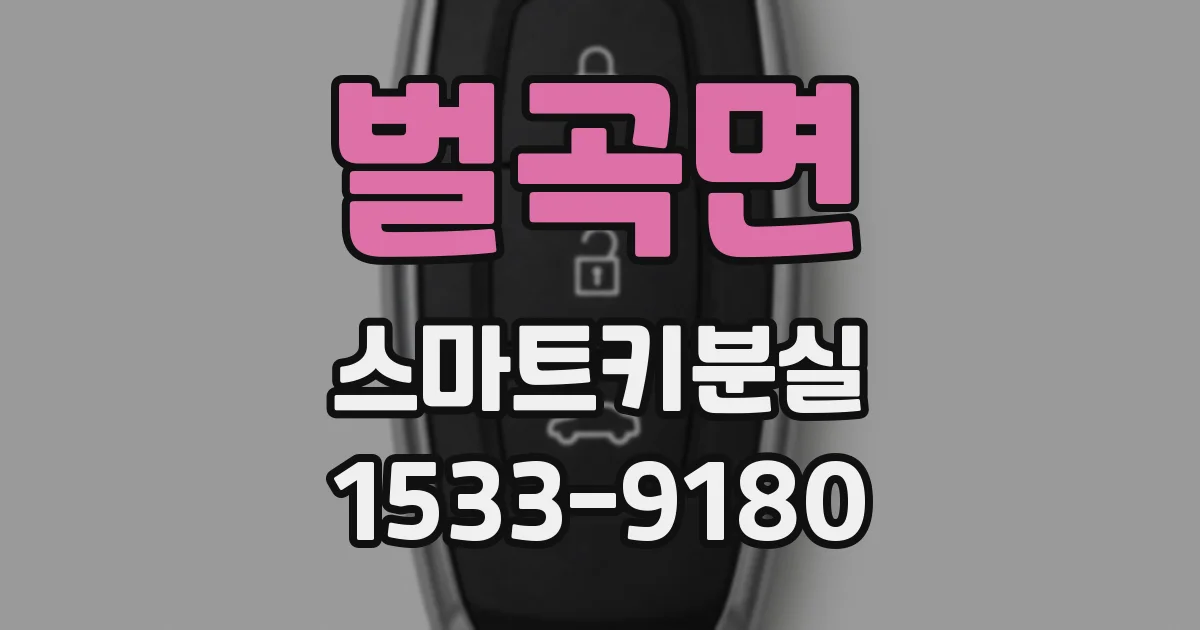 벌곡면 스마트키분실