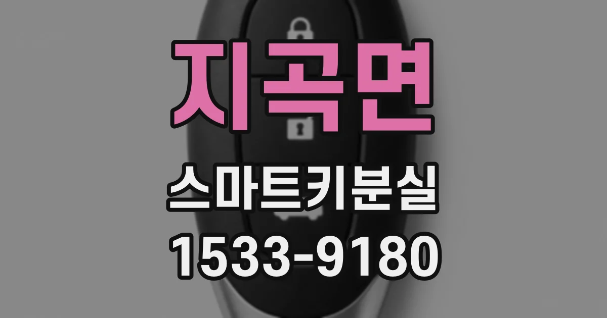 지곡면 스마트키분실