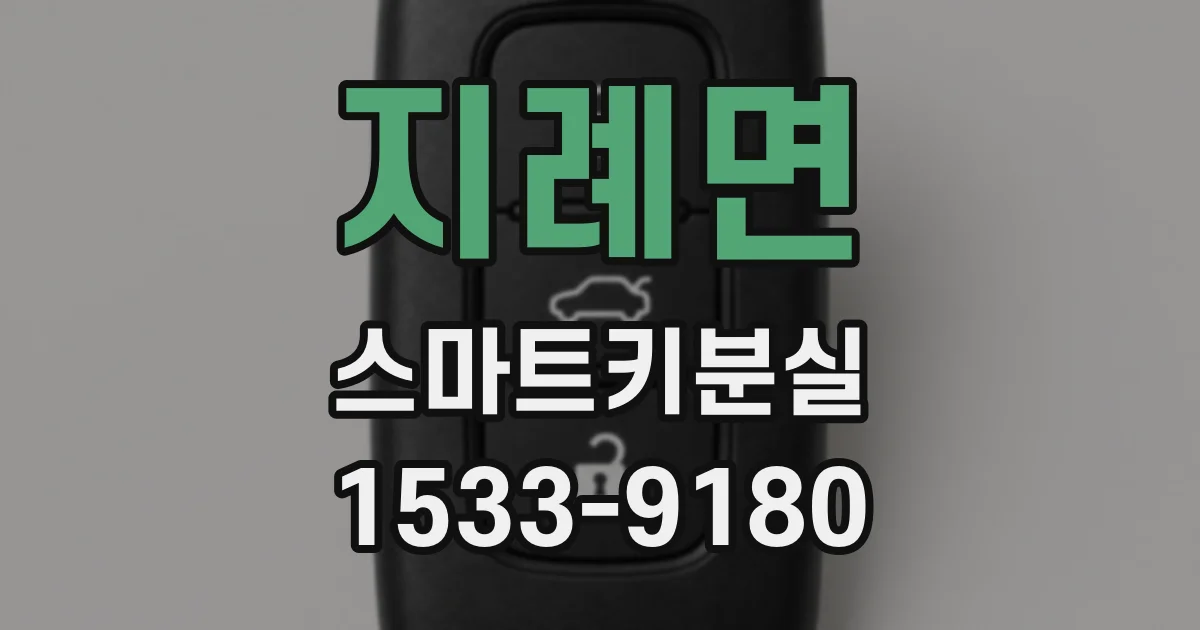지례면 스마트키분실