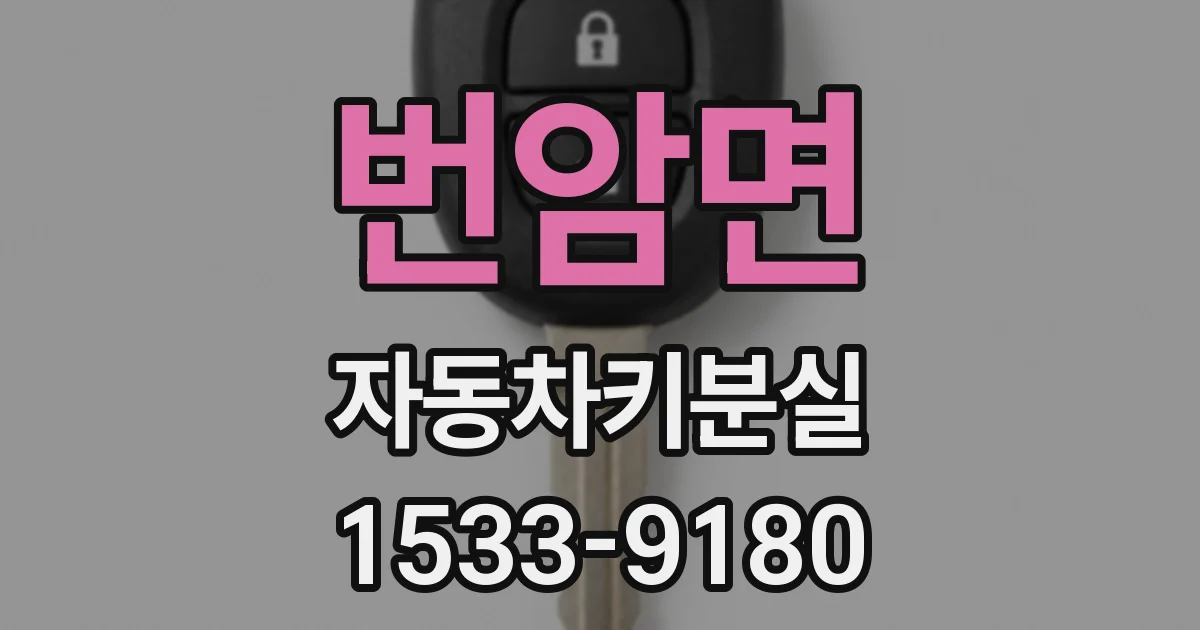 번암면 자동차키분실