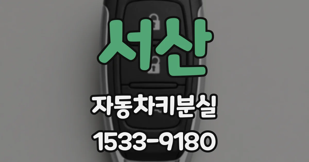 서산 자동차키분실