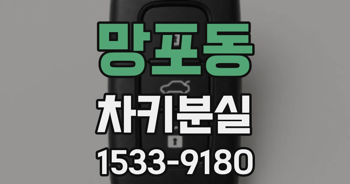 망포동 차키분실