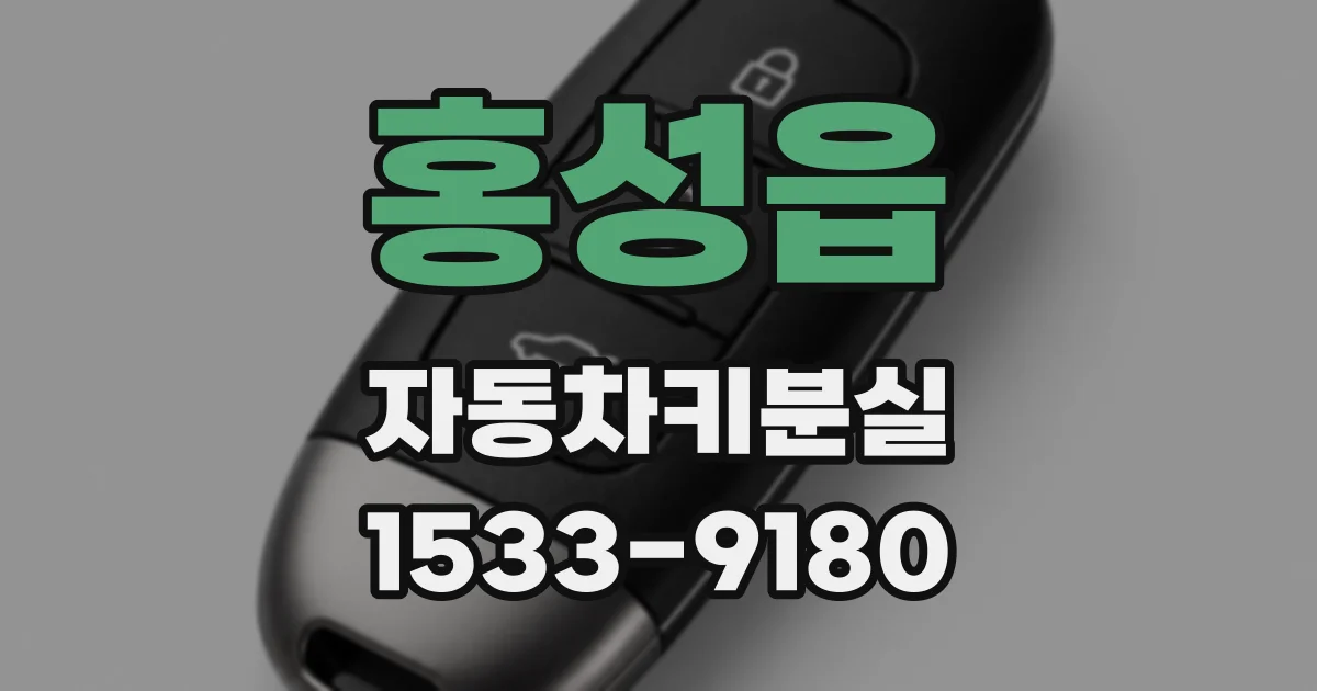 홍성읍 자동차키분실