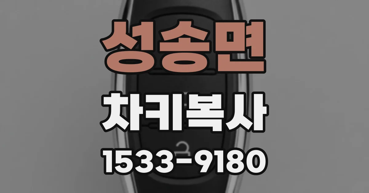 성송면 차키복사