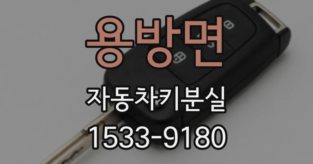 용방면 자동차키분실