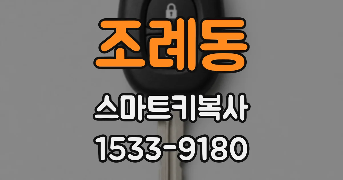 조례동 스마트키복사
