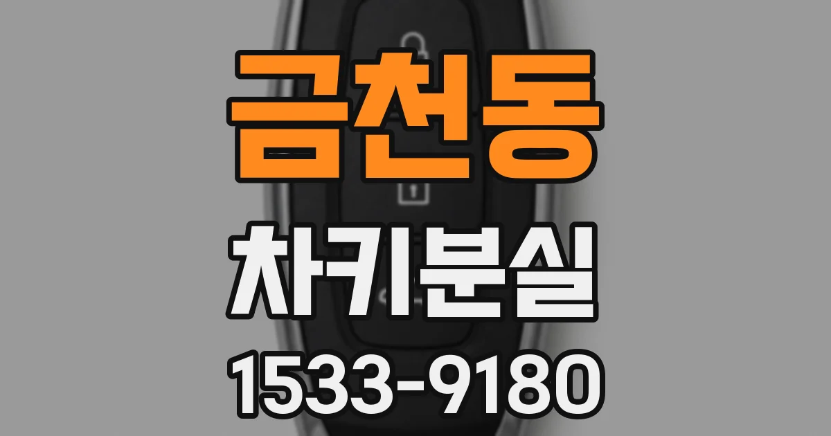 금천동 차키분실
