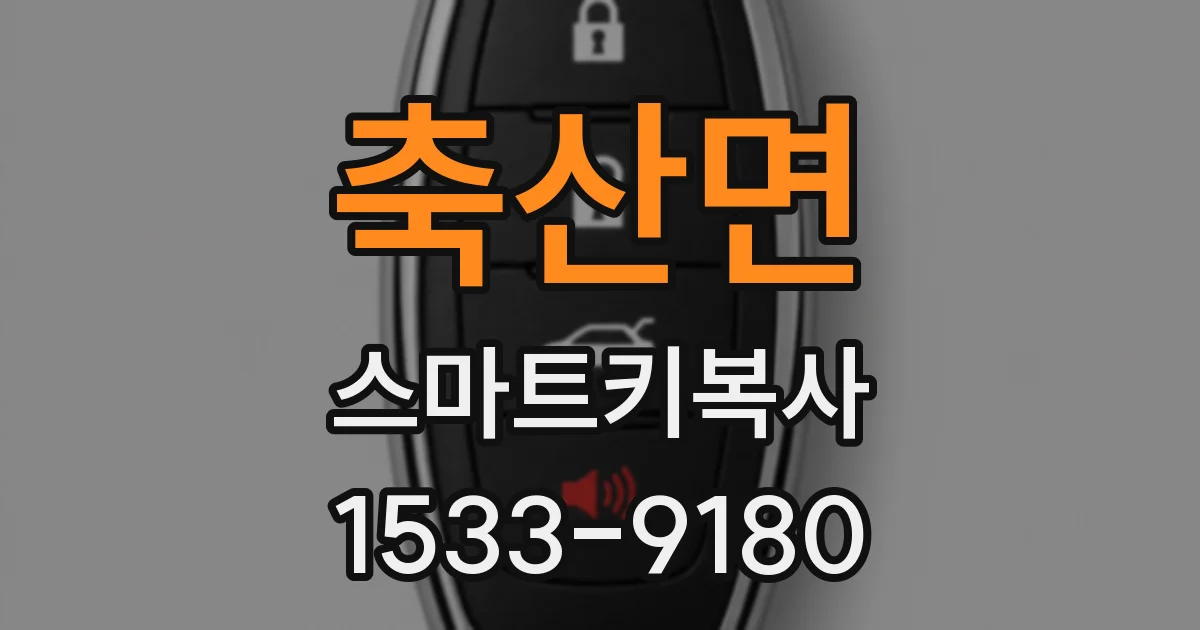 축산면 스마트키복사