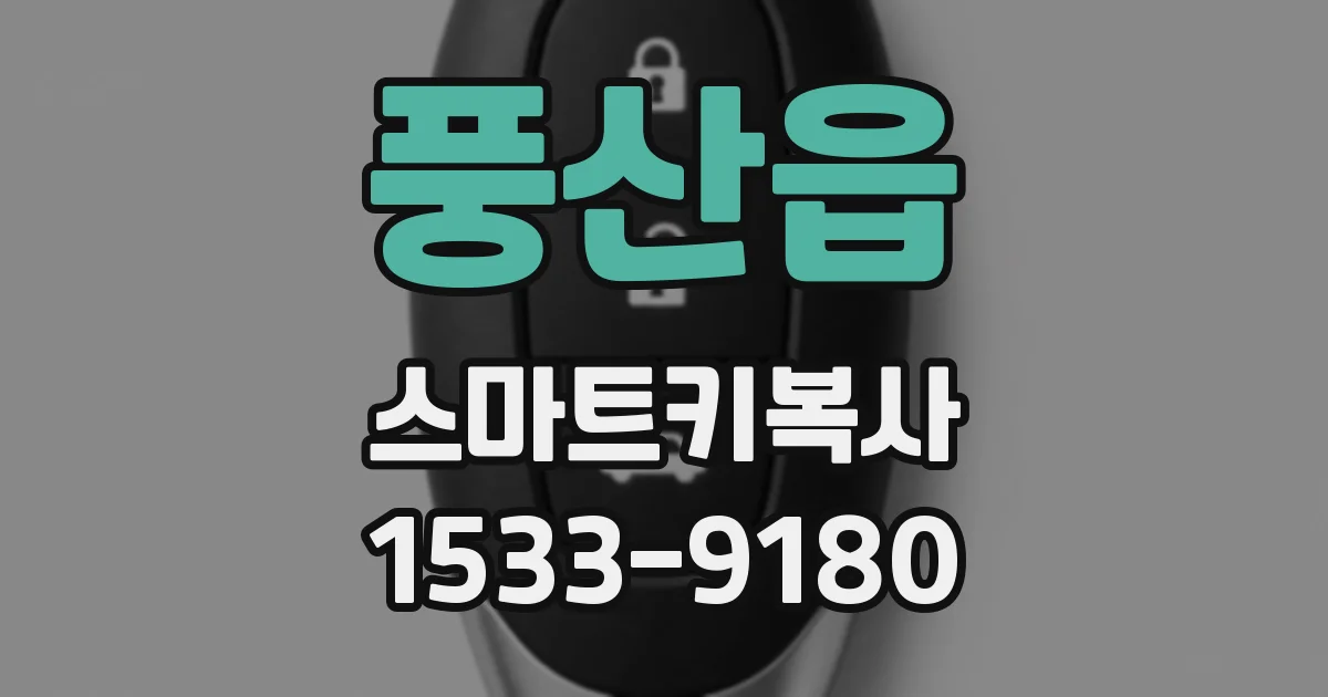 풍산읍 스마트키복사