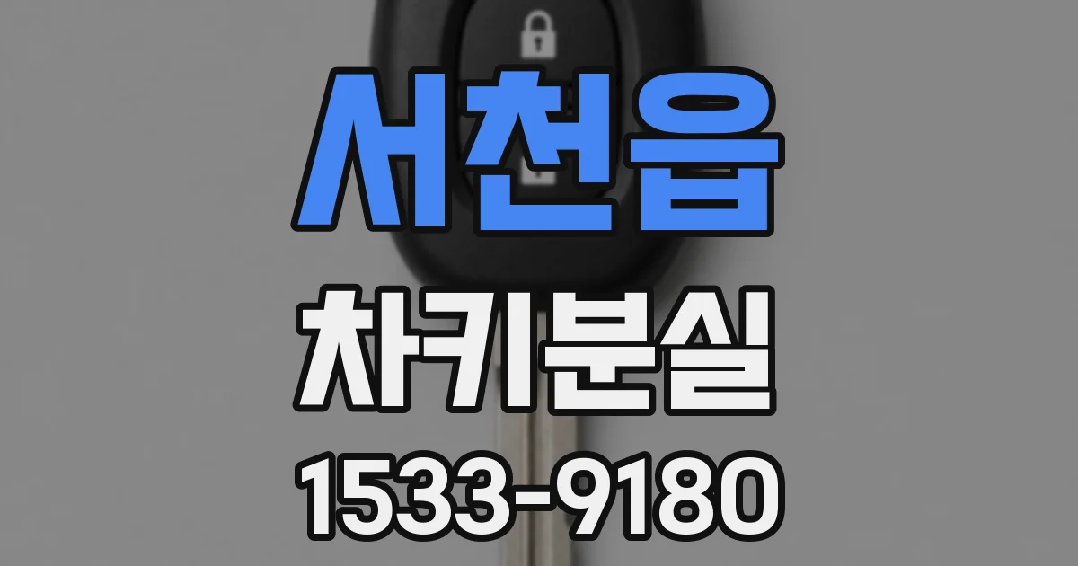 서천읍 차키분실
