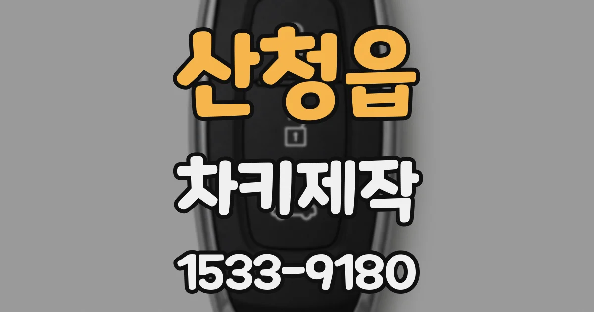 산청읍 차키제작