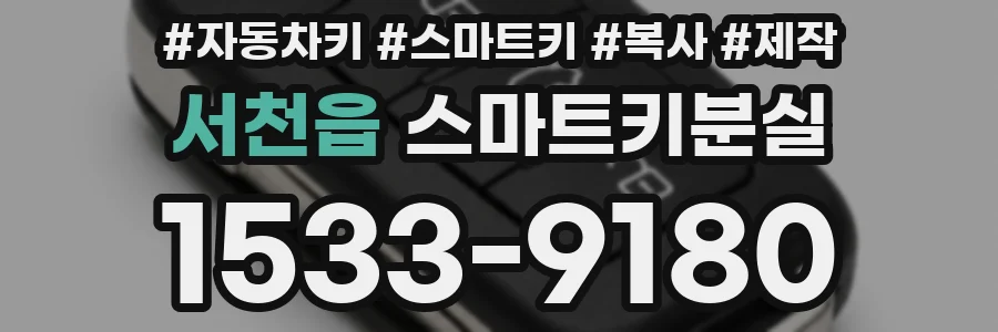 서천읍 스마트키분실