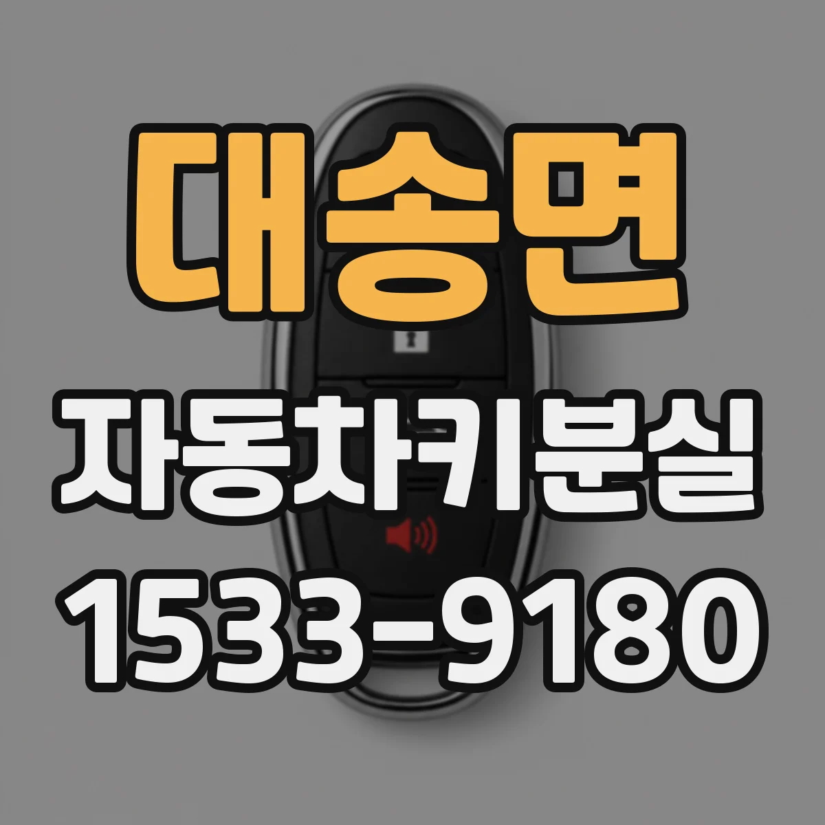 대송면 자동차키분실