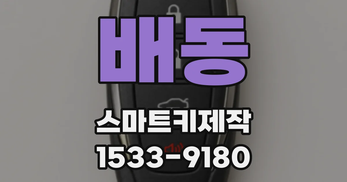 배동 스마트키제작