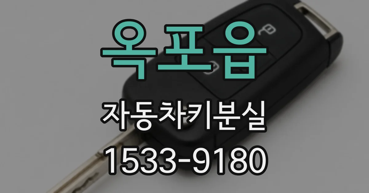 옥포읍 자동차키분실