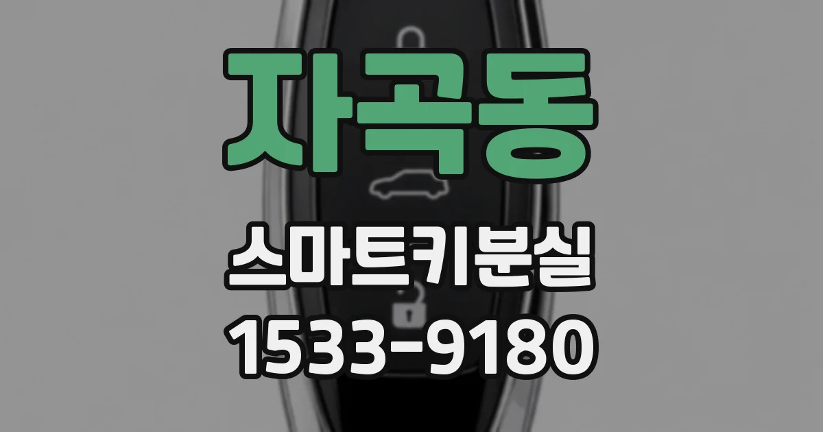 자곡동 스마트키분실
