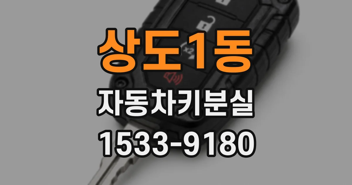 상도1동 자동차키분실