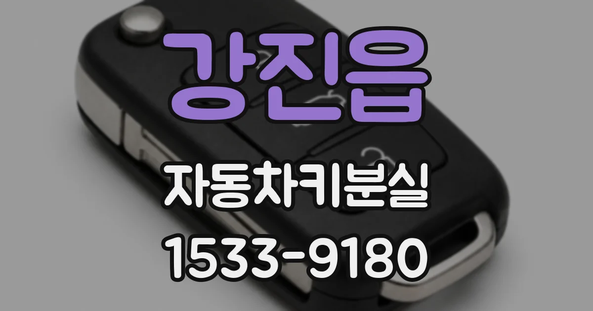 강진읍 자동차키분실