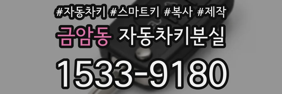 금암동 자동차키분실