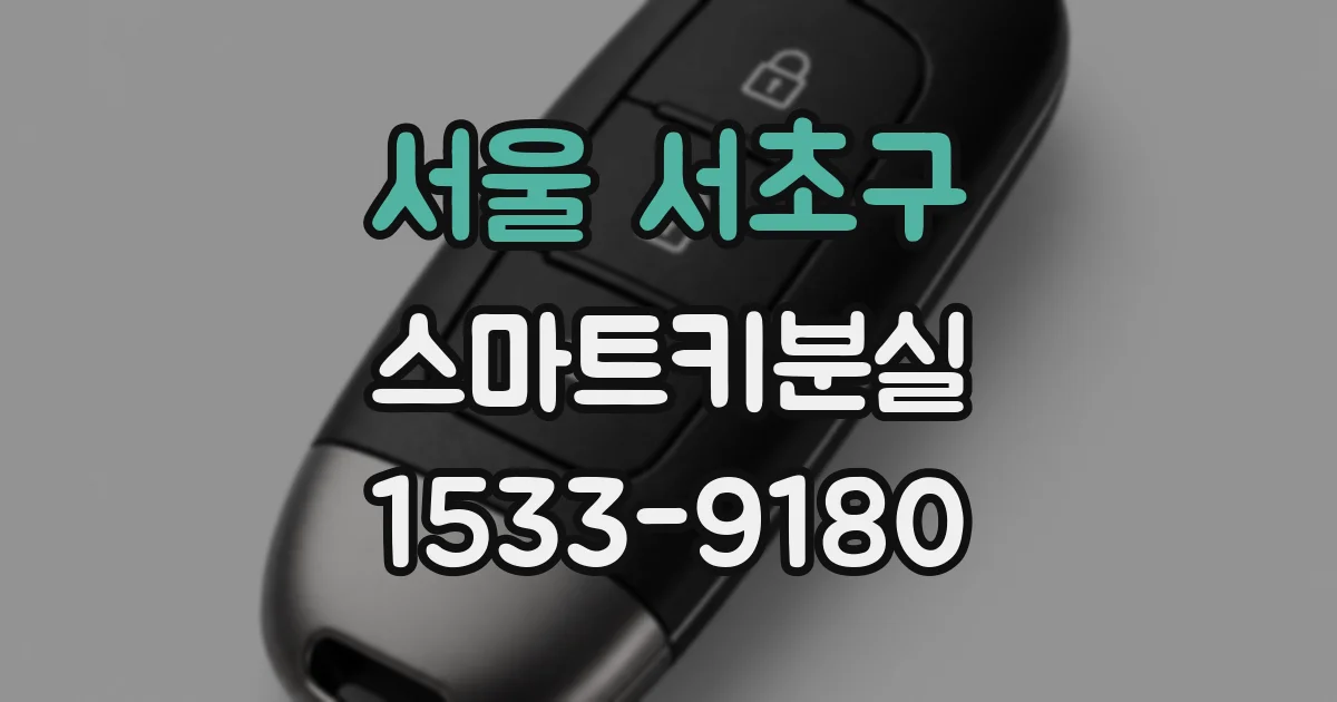 서울 서초구 스마트키분실