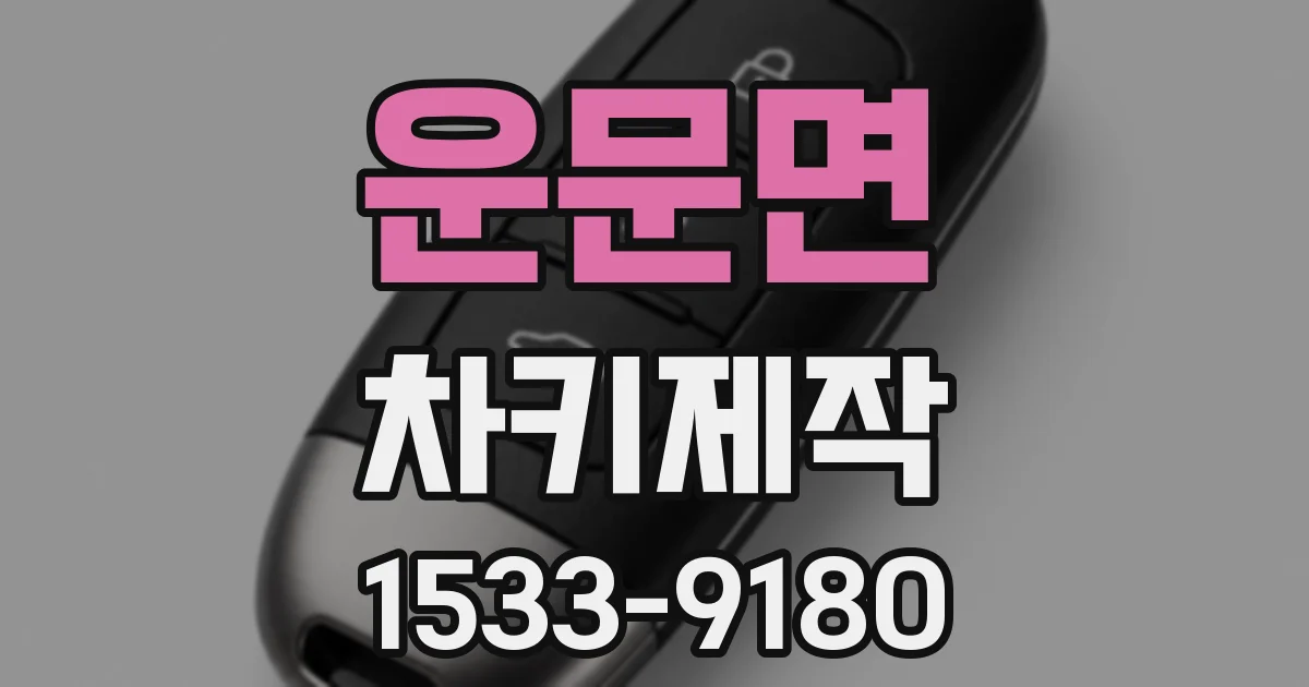 운문면 차키제작