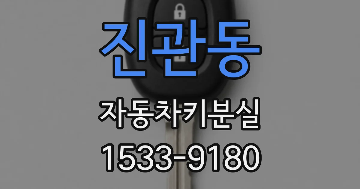 진관동 자동차키분실