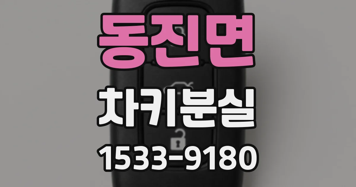 동진면 차키분실