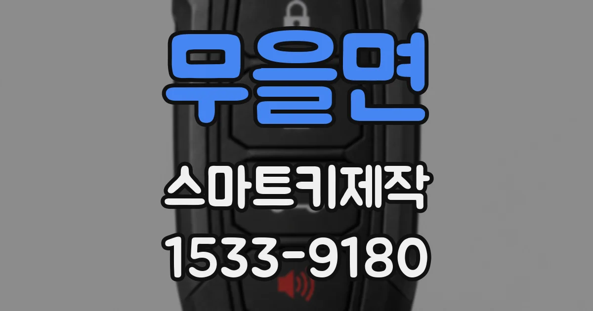 무을면 스마트키제작