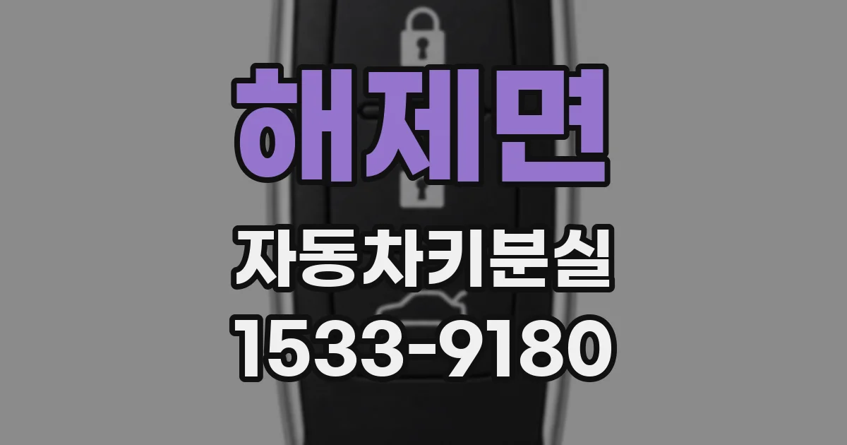 해제면 자동차키분실