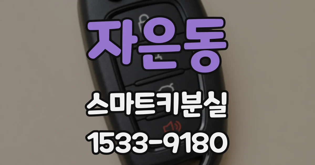 자은동 스마트키분실