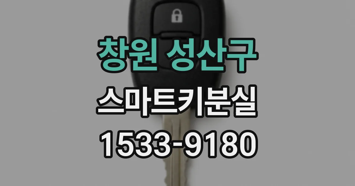 창원 성산구 스마트키분실